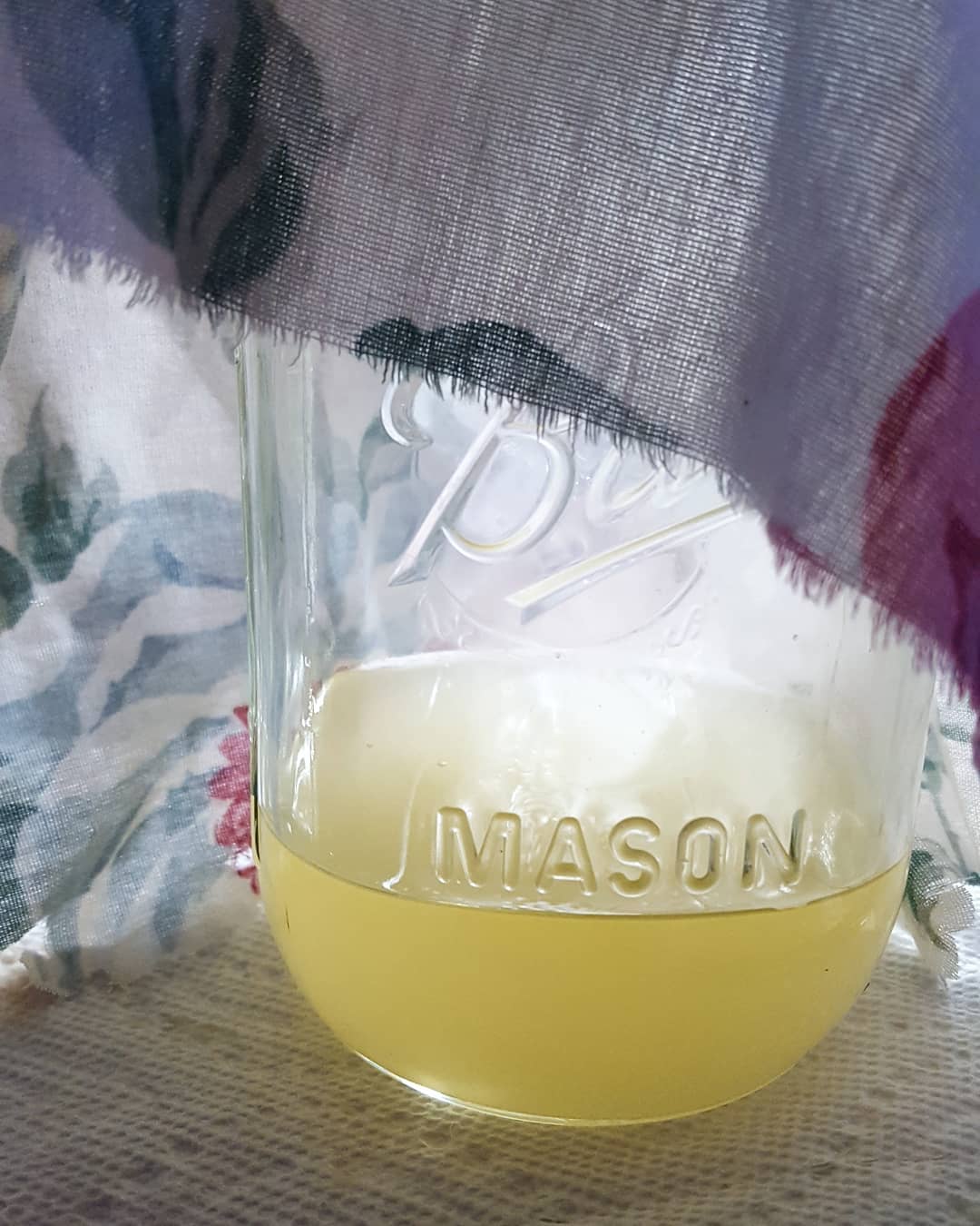 52800443_10113249711703470_2957608449615069184_o