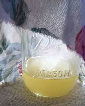 52800443_10113249711703470_2957608449615069184_o